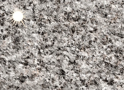 Black Sesame Black Sesame